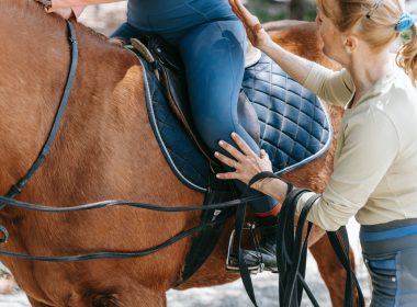 Czy istnieje duże ryzyko upadku podczas jazdy konnej?