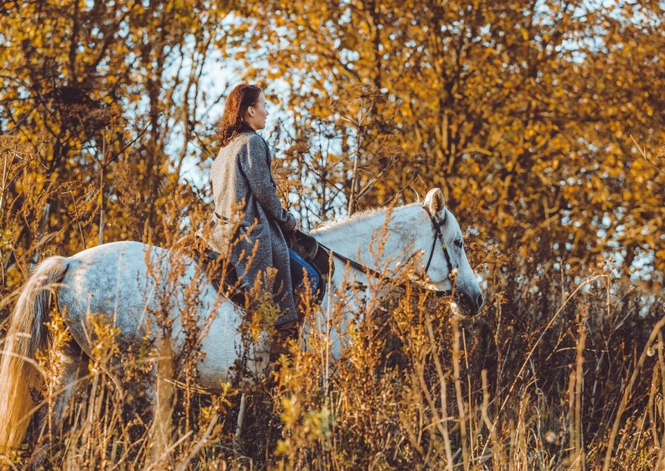 Czym wyróżnia się Western Riding w jeździe konnej?