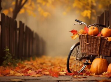Rower jesienią: optymalne przygotowania i wybór odzieży